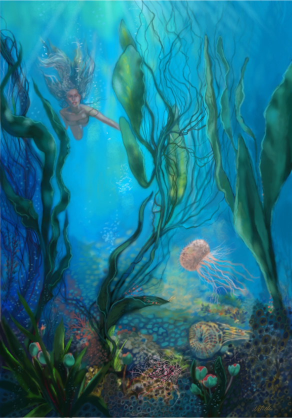 Main image Seegarten